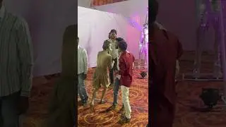 Monkey 🐵 man in Shaadi||#shorts #shortvideo #shortsfeed #monkeyman #monkey #dahanu #wedding #shaadi