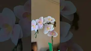 Diy paper Orchid flower