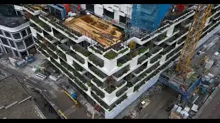 Project Wonderwoods - Utrecht