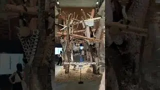 AI to help during disaster relief