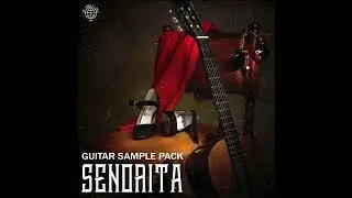SPANISH GUITAR SAMPLE PACK - 