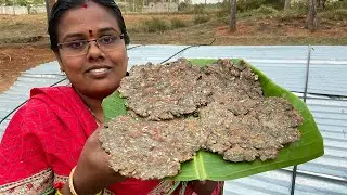 Doctor சொன்ன Diet Recipe / சிறுதானிய ரொட்டி / சத்தான கம்பு - முட்டைக்கோஸ் ரொட்டி / Kambhu Rotti