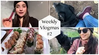 Weekly Vlogmas #2 - alberi di natale, sushi da Temakinho e passeggiate nei parchi! | Giorgia Turco