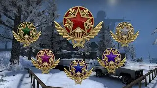 First Look of 2021 Service Medal - CSGO | Counter Strike Global Offensive