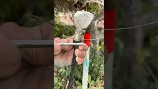 Ideas and tricks 💡 #garden #experiment #metaldetecting #helpmemakethismakesense