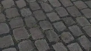 The Worried Well - Without You