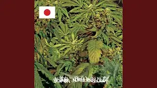 Kangry (feat. MUSASABI)
