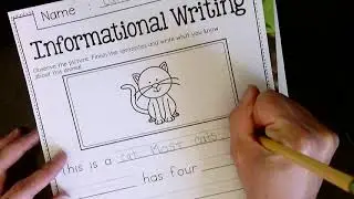 Cat Informational Writing Mini Lesson