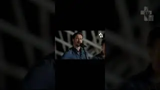 WYD-Lisbon 2023: 9 by P. Duarte Rosado