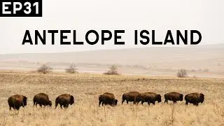 Exploring ANTELOPE ISLAND State Park!!