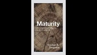 Christian Maturity  Faith Church Adult Sunday School Lesson 2
