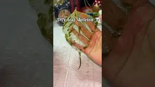 tried skeleton leaf hack but it failed | #shorts #youtubeshorts #diy #leaf #hack #skeleton #trend