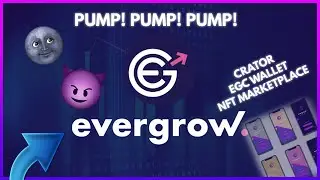EverGrow could 30x in 2022! (REALISTIC PREDICTION) 🚀🚀🚀