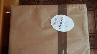 Nova Bebê Reborn - toddler de 1 ano
BB Grande