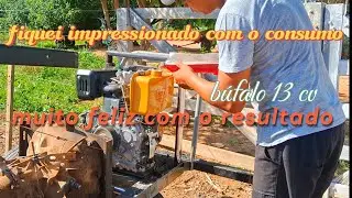consumo de combustível motor estacionario búfalo 