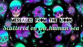 Messages from the Moon: Scattered on the human sea