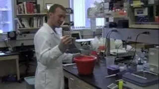 Bacterial Transformation tutorial