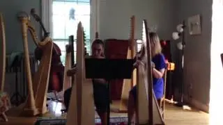 Harp recital