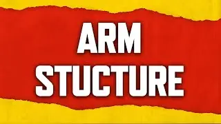 Why Your Arm Structure Matters in Thrill of the Fight 2 💪