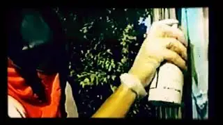 Roland Jones - Nine To Yo Skull (Slowed)
