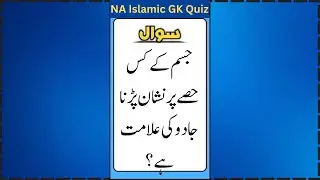 Urdu Quiz - Islamic Questions and Answers Urdu - Islamic Questions and Answers - Islamic GK
