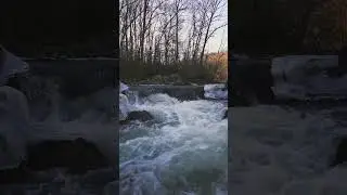 POV: Autumn Turns Into Winter 🍂❄️ #music#lofi #beats #studymusic #instrumental #chillmusic #mood