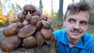 bardzo rzadki 