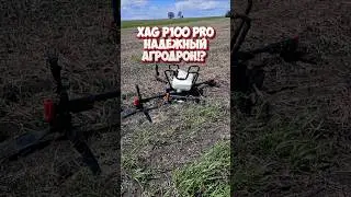 Снова попали под РЭБ на XAG P100 Pro