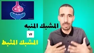 المشابك المنبهة والمشابك المثبطة في المنعكس العضلي| سنة2 ثانوي