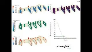 Arena-flow Inorganic Curing Demonstration