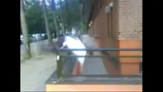 Trailer Landrunners