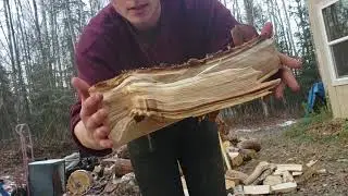 Firewood chopping asmr and relaxation.