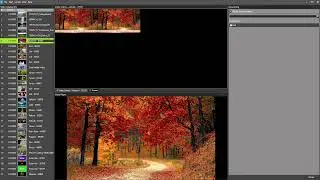 Fast Video Cataloger 8 - Keywording and Search - Tutorial 3