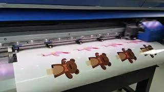 Roland VG-640 Wide format Eco-solvent sticker label printing