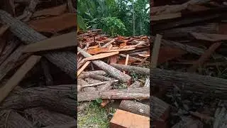 Mahogany Slabs