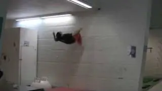 Ramin Sohrab ceiling flip