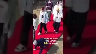 cat walk in red carpet🐈🐈🐈 #enhypen #kpop #highlights