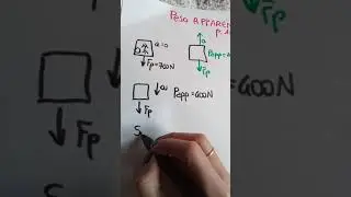 forze apparenti e peso apparente