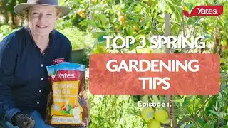 Spring Gardening Tips Eps. 1. Control weeds, feed your lawn, plus feed & care for your citrus trees.