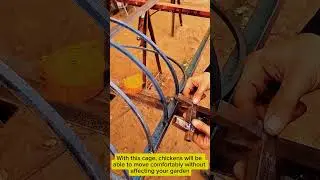 A little skill in making chicken cages