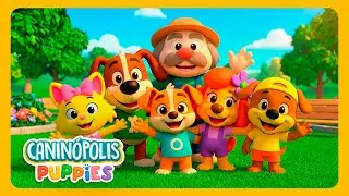 Super Compilado Caninópolis Puppies 🐶 Dançar, Brincar e se Divertir  🛁🚀🎪 | 30 Min