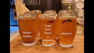 2023.08.17 The Creation of Pepper infused Hot Honey