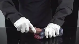 1.22lbs Realistic Snake Claws Male Masturbators Close-Ended Pocket Pussy