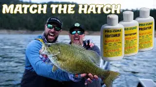 Match The Hatch With Pro-Cure