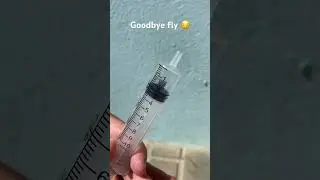 Fly in syringe (watch to the end&hellip;)