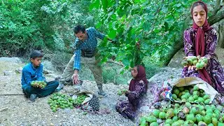 🌳✨ Leila’s Family: A Walnut Adventure in the Untouched Wilderness 🥚🔥