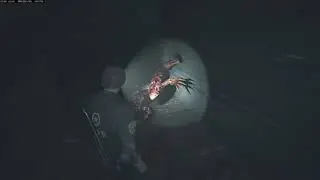 Resident Evil 2 Remake HARDCORE S+ (PC,No Commentary) Leon 1st run playthrough