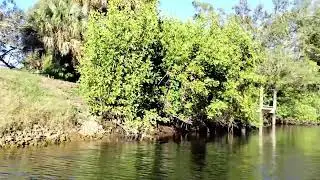 Naples, FL Cocohatchee River Narrated Boat Tour