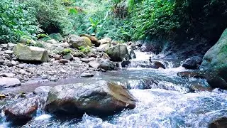 Calm River Flow for Mental Ease