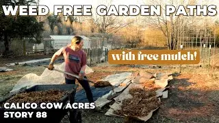 Making Weed-Free Garden Paths With FREE Mulch | Homestead Projects | Garden Design